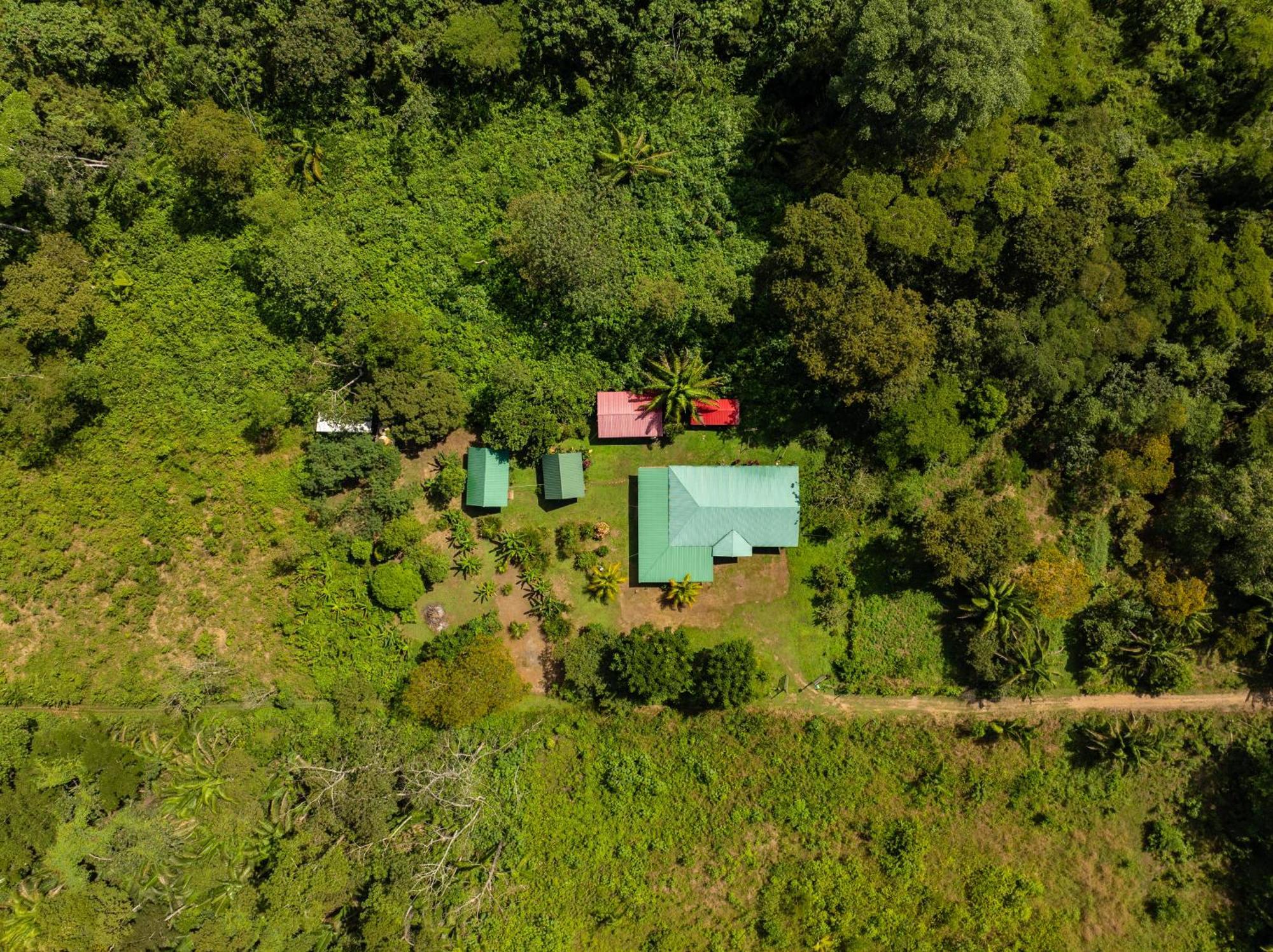 Quirquincho House Lodge Puerto Maldonado Exterior photo
